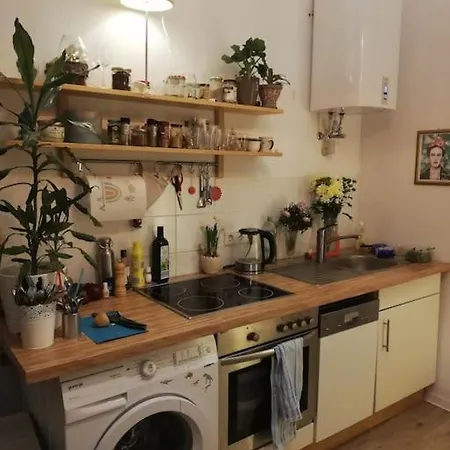 Gemuetliche Kuenstlerwohnung * Μάνχαιμ